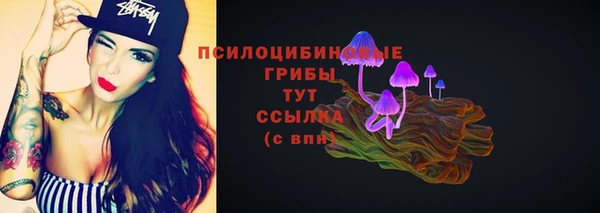 прущие грибы Алексеевка