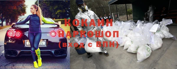 прущие грибы Алексеевка