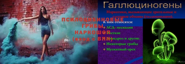 прущие грибы Алексеевка