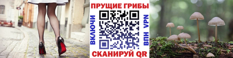 Псилоцибиновые грибы Magic Shrooms это Telegram Петрозаводск